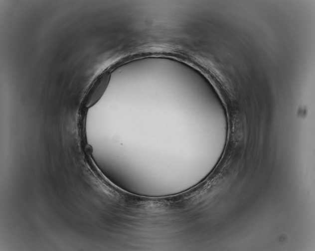 X0000097901404200804041426