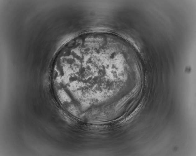 X0000097901405200804041426