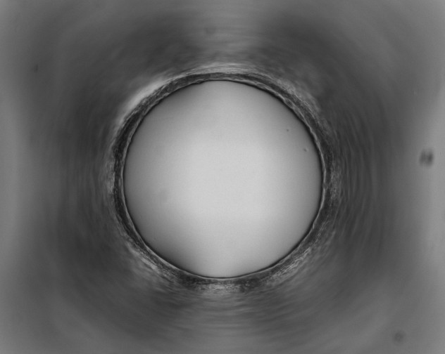 X0000097901406200804041427