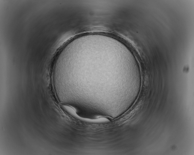 X0000097901407200804041427