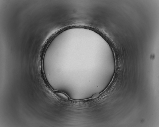 X0000097901408200804041427