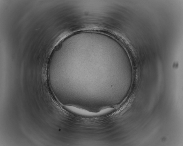 X0000097901409200804041427