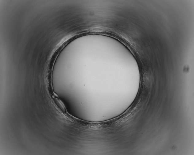 X0000097901410200804041427