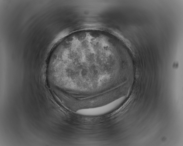 X0000097901411200804041427