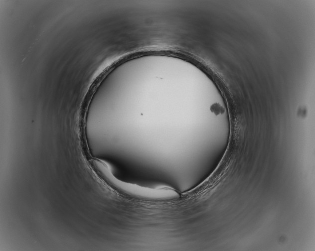 X0000097901412200804041427