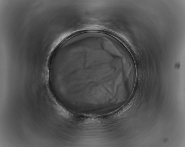 X0000097901414200804041427