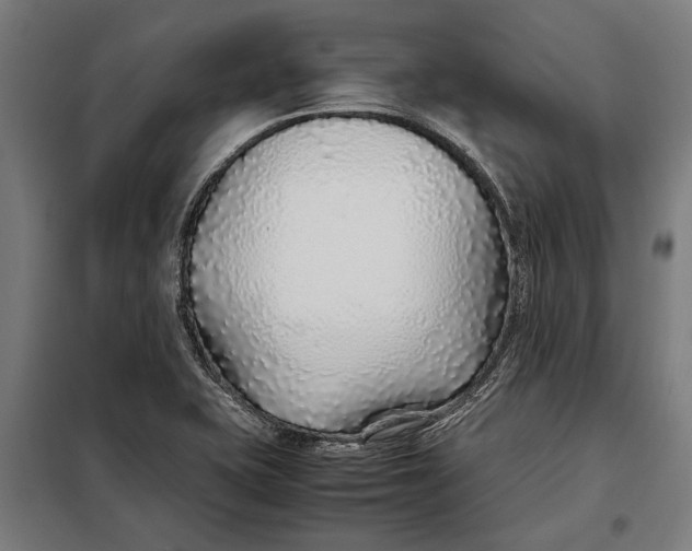 X0000097901415200804041427