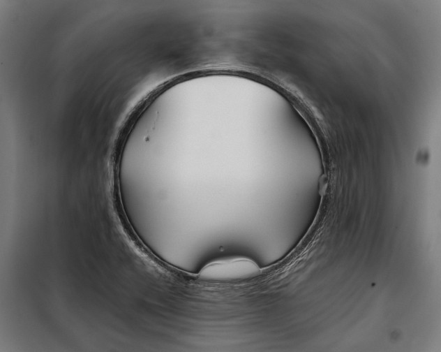 X0000097901416200804041427