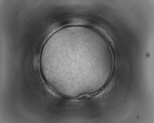 X0000097901417200804041427