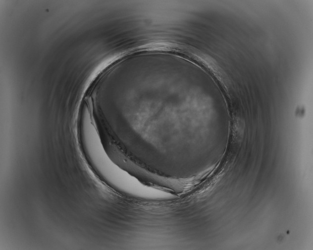 X0000097901418200804041427