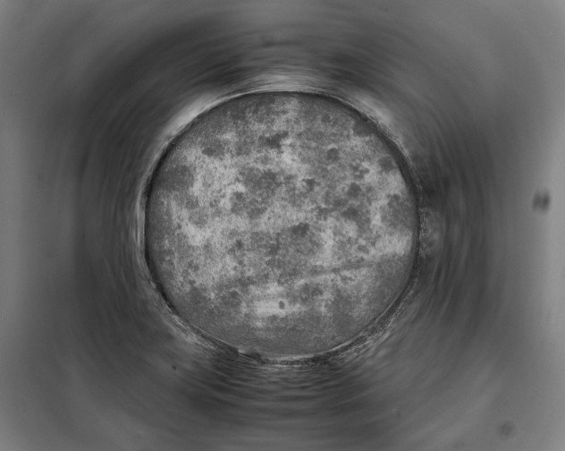 X0000097901419200804041427