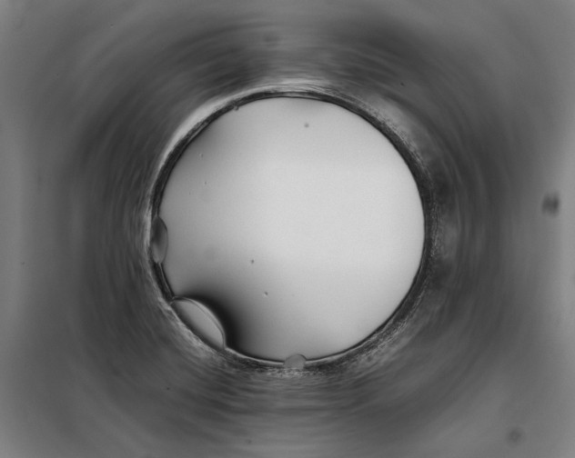 X0000097901420200804041427