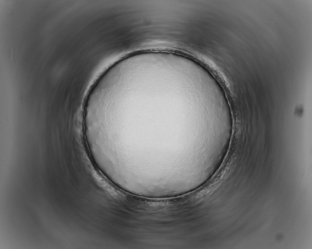 X0000097901421200804041427