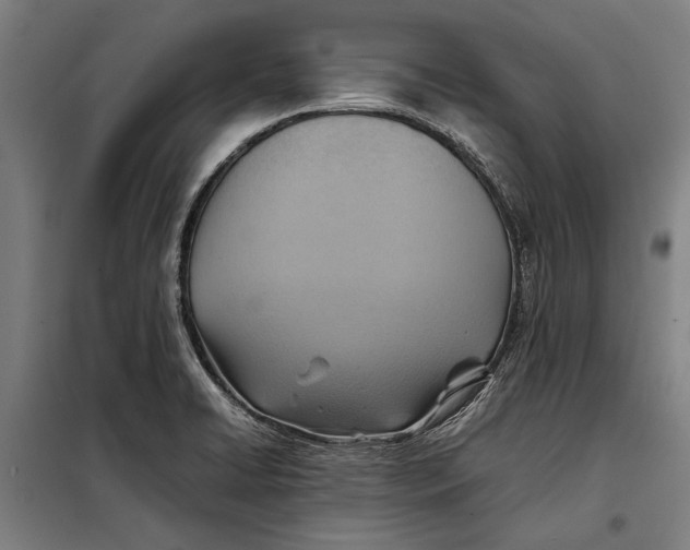 X0000097901422200804041427