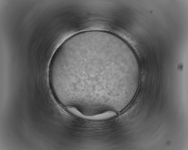 X0000097901423200804041427