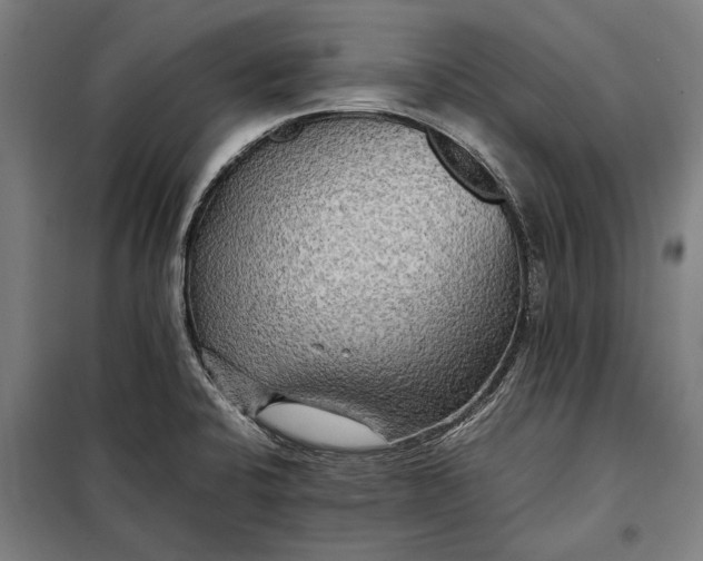 X0000097901424200804041427