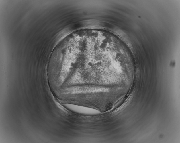 X0000097901425200804041427