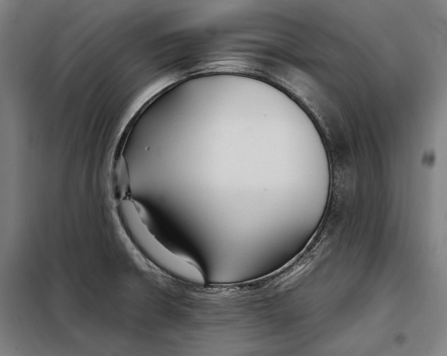 X0000097901426200804041427