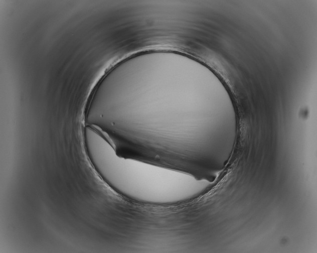 X0000097901428200804041427