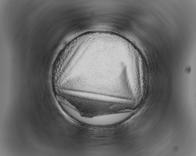 X0000097901429200804041427