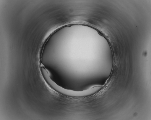 X0000097901430200804041427