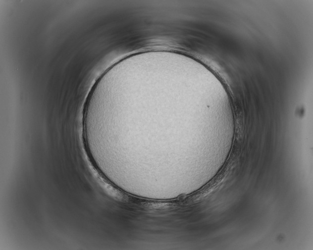 X0000097901431200804041427