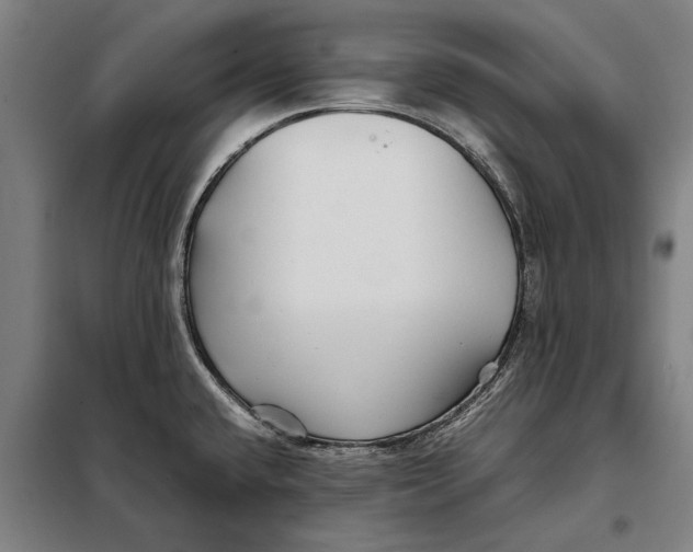 X0000097901432200804041427