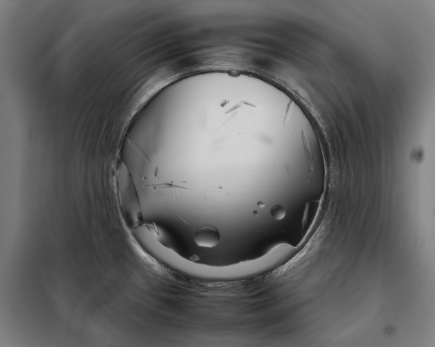 X0000097901433200804041427