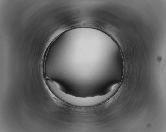 X0000097901434200804041427