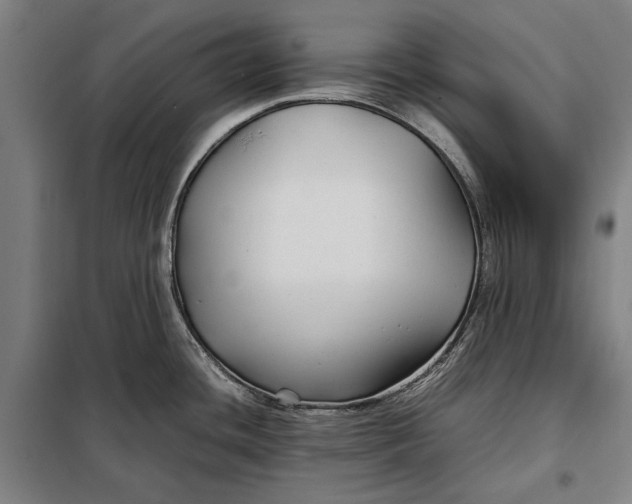 X0000097901436200804041427