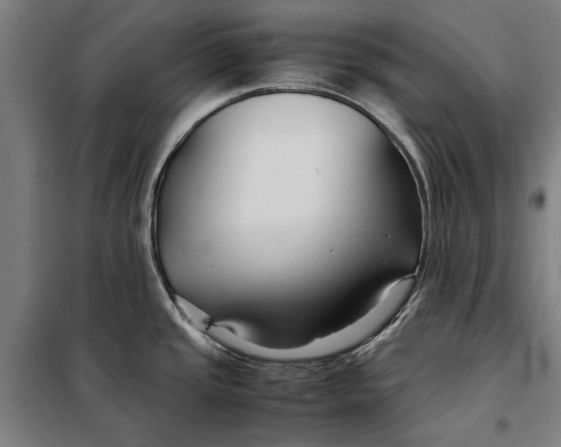 X0000097901437200804041427