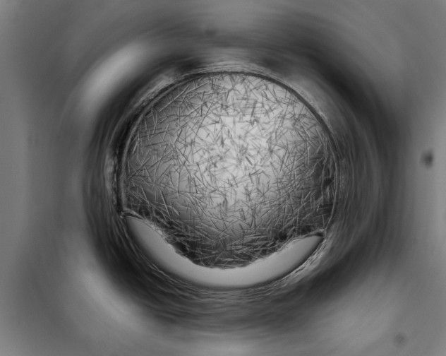 X0000097901438200804041427