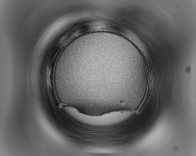 X0000097901439200804041427