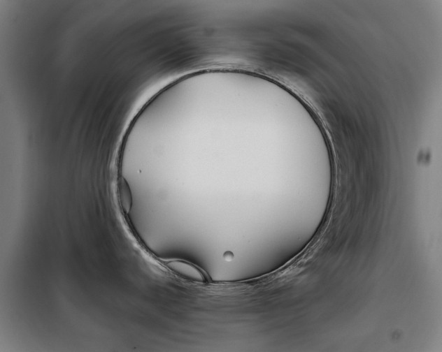 X0000097901440200804041427