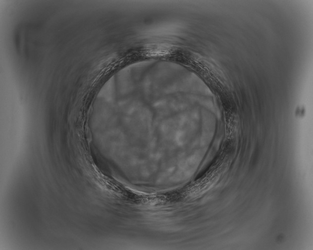 X0000097901441200804041426