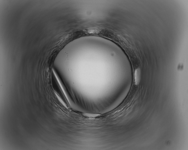 X0000097901443200804041426