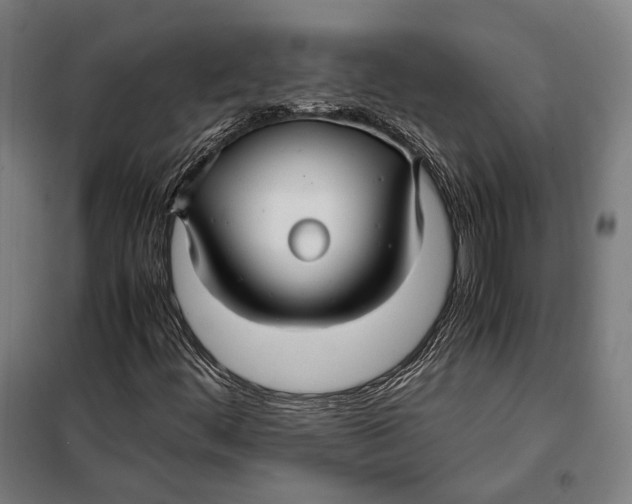 X0000097901444200804041426