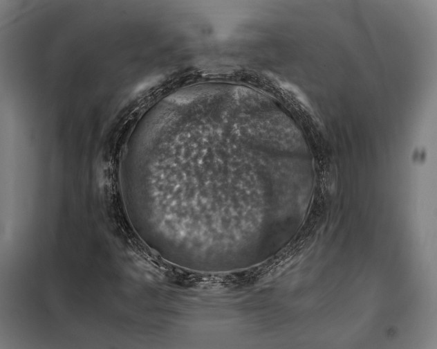 X0000097901445200804041426