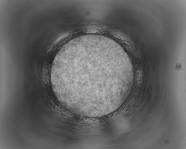 X0000097901446200804041426