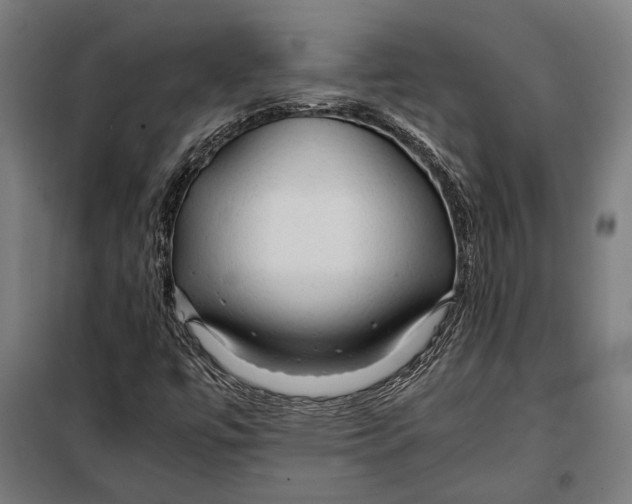 X0000097901447200804041426