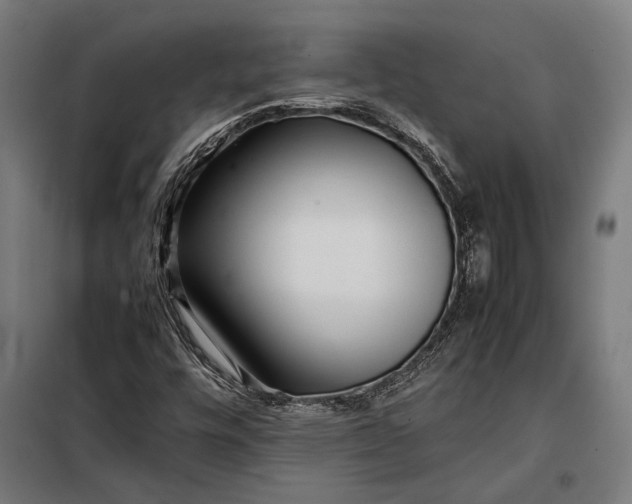 X0000097901448200804041426