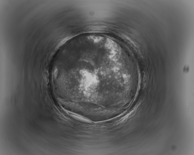 X0000097901449200804041426