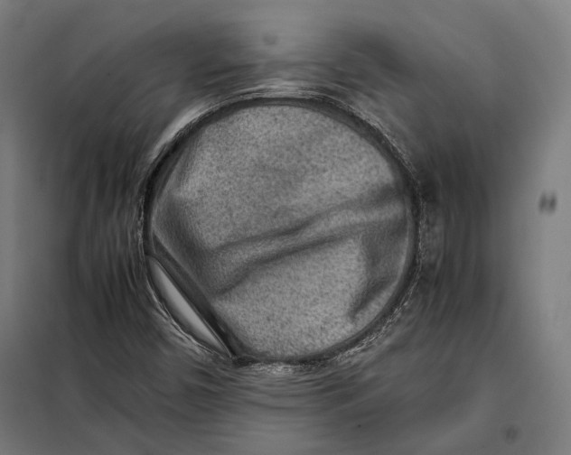 X0000097901450200804041426