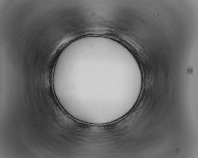 X0000097901451200804041426