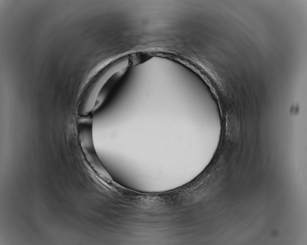 X0000097901452200804041426