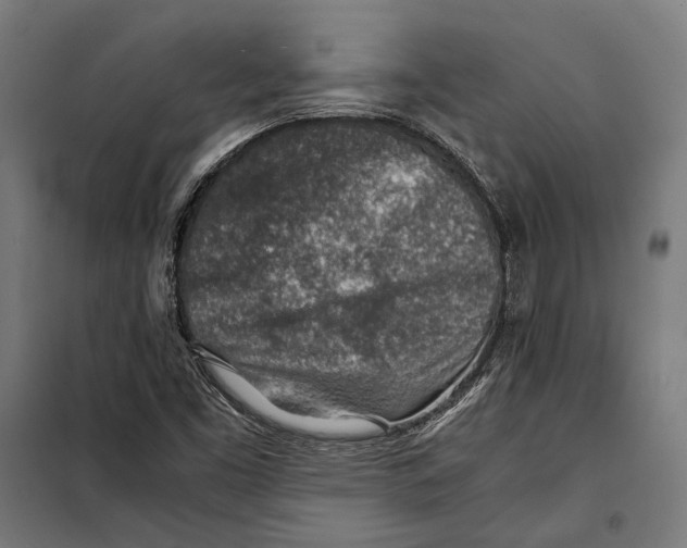 X0000097901453200804041426