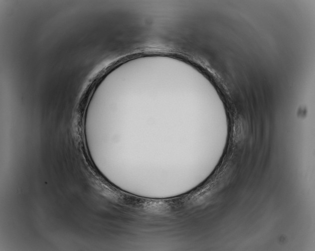 X0000097901454200804041426