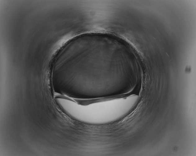 X0000097901455200804041426