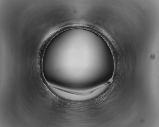 X0000097901456200804041426