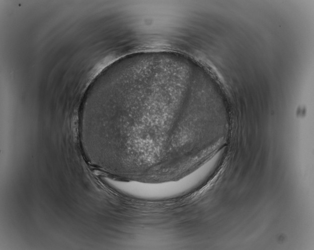 X0000097901457200804041426